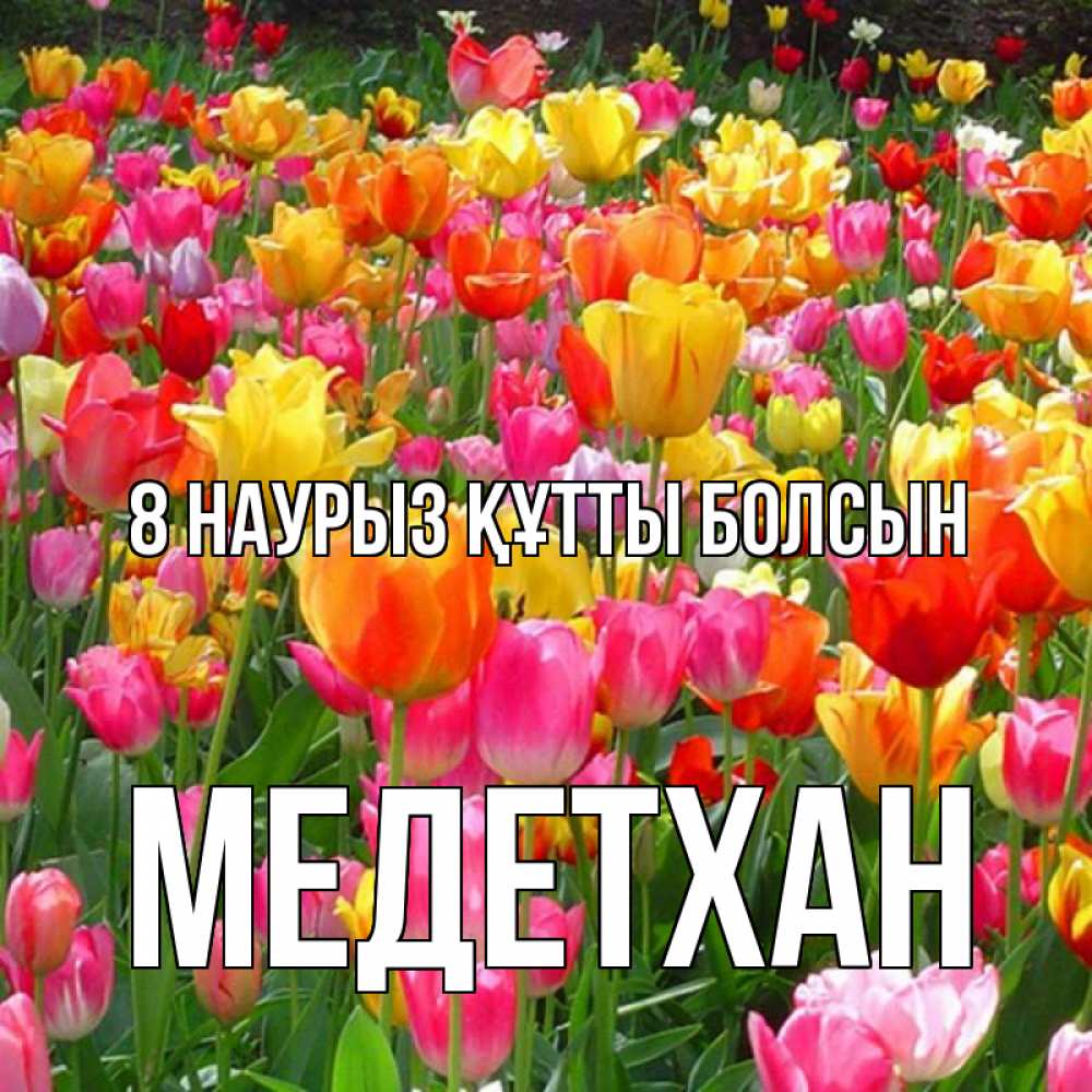 Күн сайын ашық хат с именем, МЕДЕТХАН 8 наурыз құтты болсын на международный женский день Онлайн тегін жүктеп алу тілектері бар керемет карта 