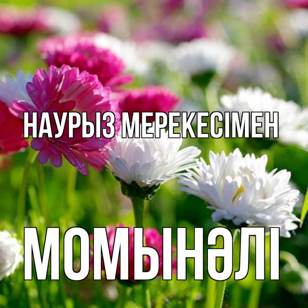 Күн сайын ашық хат с именем, МОМЫНӘЛІ Наурыз мерекесімен праздник весны наурыз красота Онлайн тегін жүктеп алу тілектері бар керемет карта 