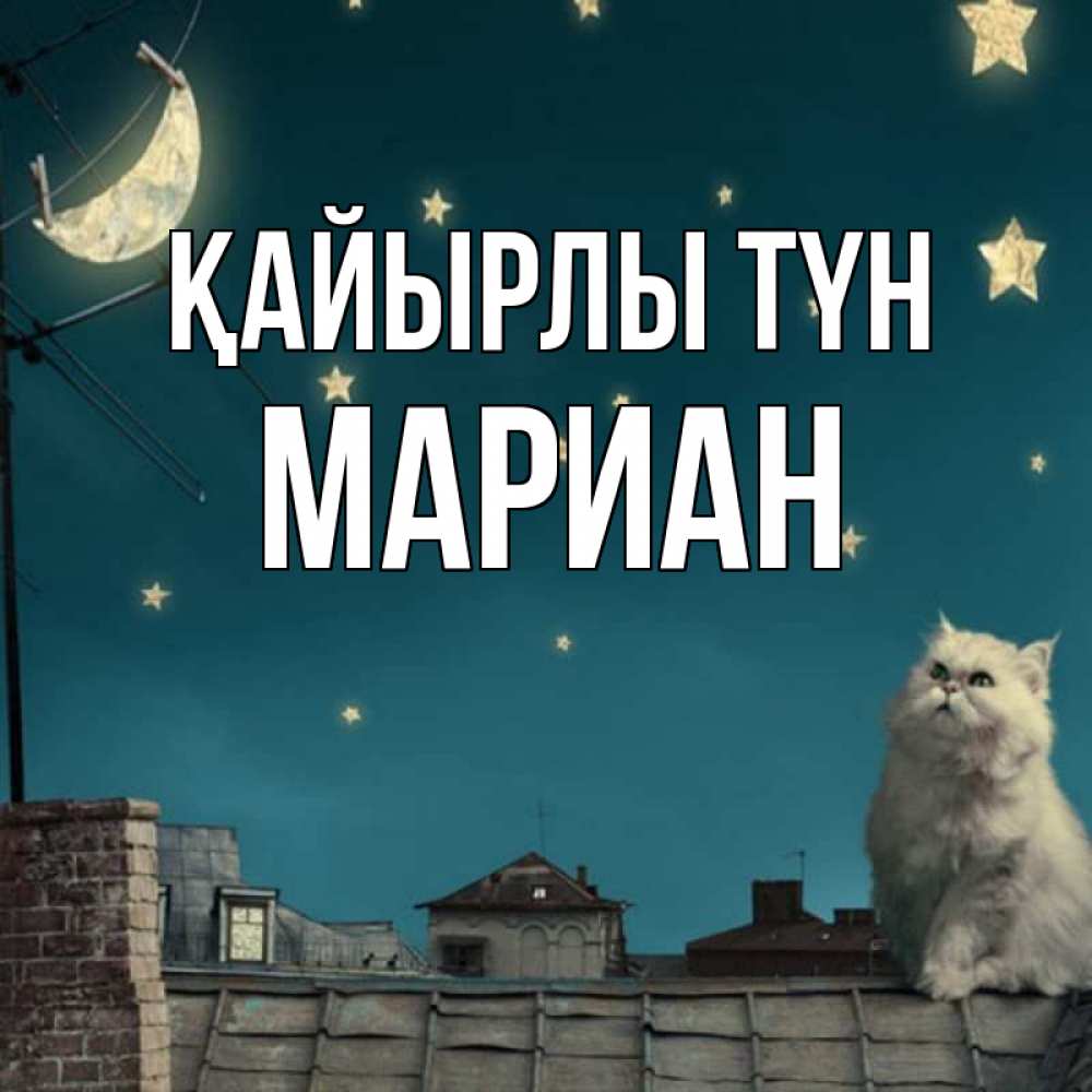 Күн сайын ашық хат с именем, Мариан Қайырлы түн белый кот сидит на крыше Онлайн тегін жүктеп алу тілектері бар керемет карта 