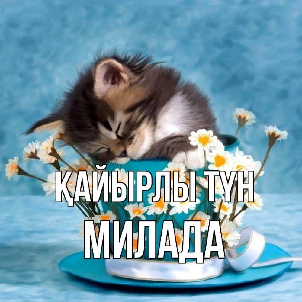 Күн сайын ашық хат с именем, Милада Қайырлы түн котенок спит в кружке с блюдцем Онлайн тегін жүктеп алу тілектері бар керемет карта 