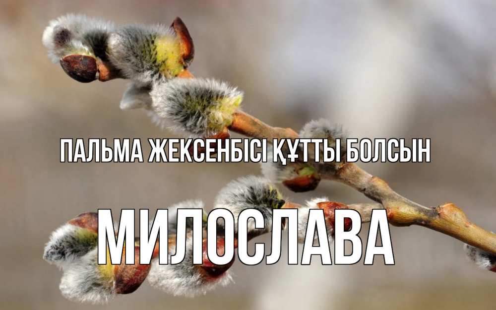 Күн сайын ашық хат с именем, Милослава Пальма жексенбісі құтты болсын Верба Онлайн тегін жүктеп алу тілектері бар керемет карта 