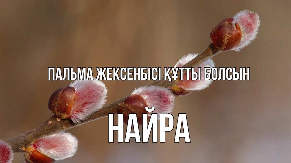 Күн сайын ашық хат с именем, НАЙРА Пальма жексенбісі құтты болсын верба Онлайн тегін жүктеп алу тілектері бар керемет карта 