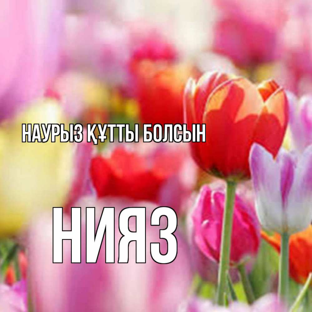 Күн сайын ашық хат с именем, НИЯЗ Наурыз құтты болсын на наурыз  2 Онлайн тегін жүктеп алу тілектері бар керемет карта 