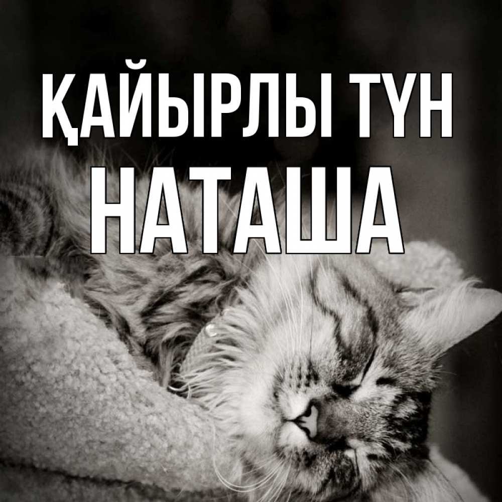 Күн сайын ашық хат с именем, Наташа Қайырлы түн котярик пушистый Онлайн тегін жүктеп алу тілектері бар керемет карта 