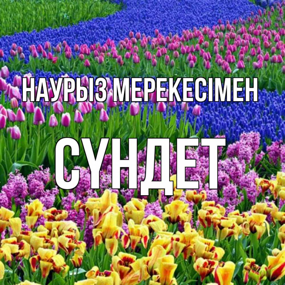 Күн сайын ашық хат с именем, СҮНДЕТ Наурыз мерекесімен цветы Онлайн тегін жүктеп алу тілектері бар керемет карта 