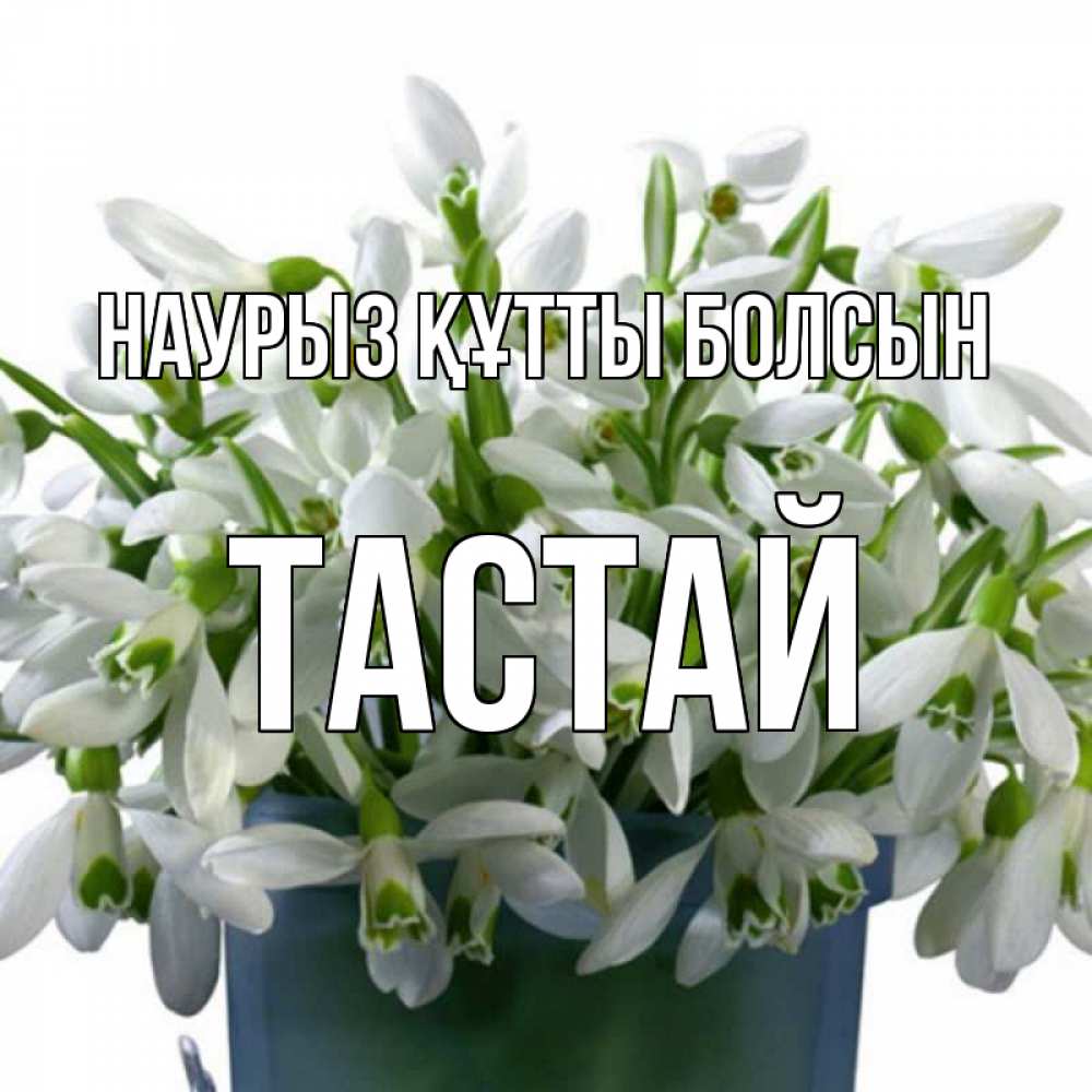 Күн сайын ашық хат с именем, ТАСТАЙ Наурыз құтты болсын цветы к наурызу Онлайн тегін жүктеп алу тілектері бар керемет карта 