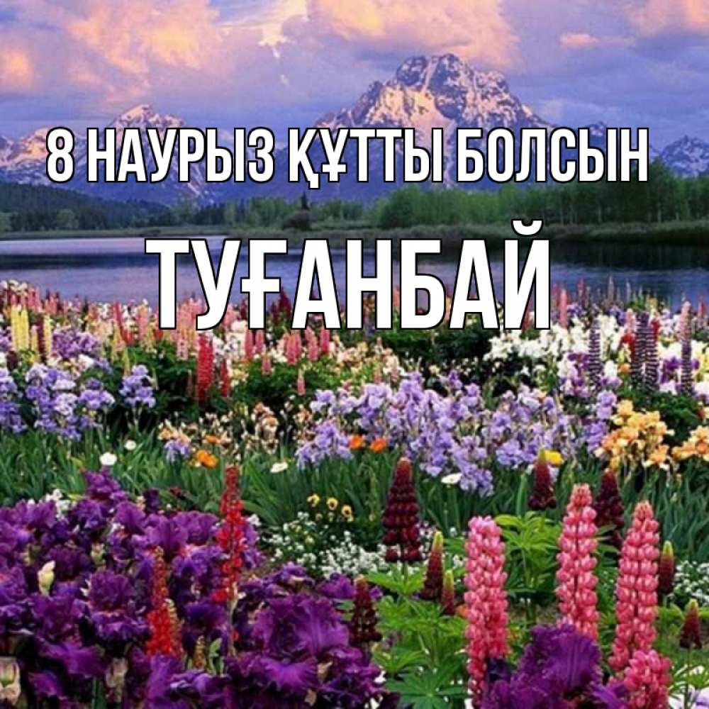 Күн сайын ашық хат с именем, ТУҒАНБАЙ 8 наурыз құтты болсын международный женский день Онлайн тегін жүктеп алу тілектері бар керемет карта 