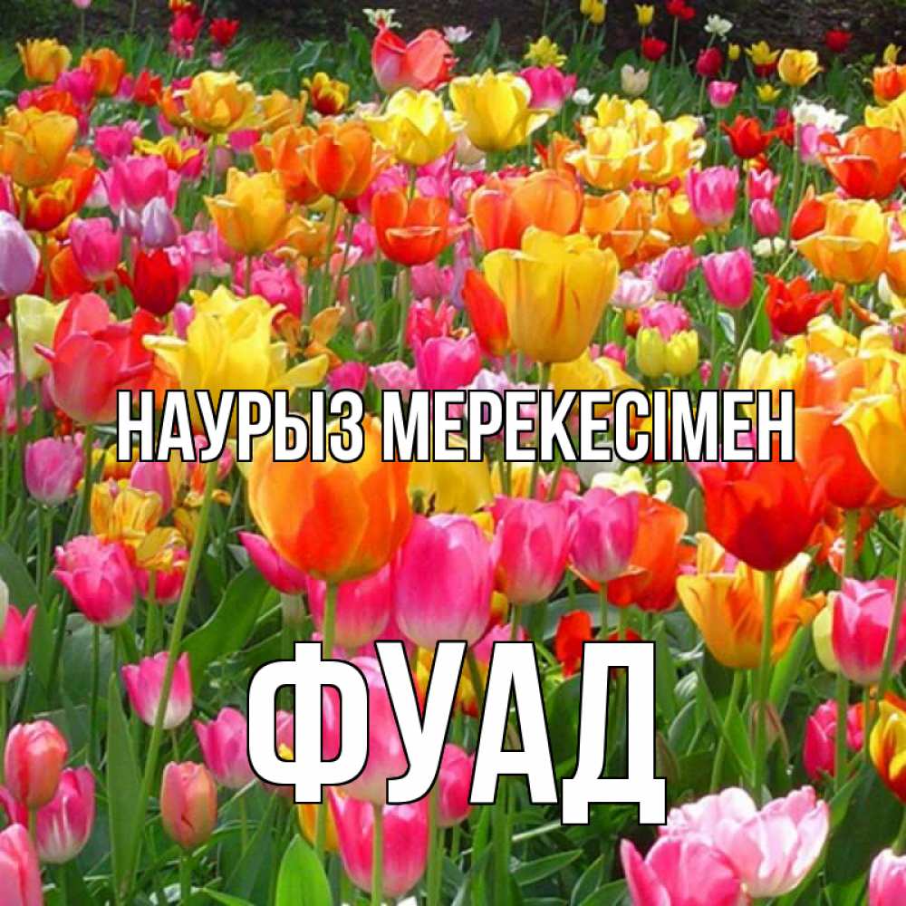 Күн сайын ашық хат с именем, Фуад Наурыз мерекесімен праздник весны наурыз 4 Онлайн тегін жүктеп алу тілектері бар керемет карта 
