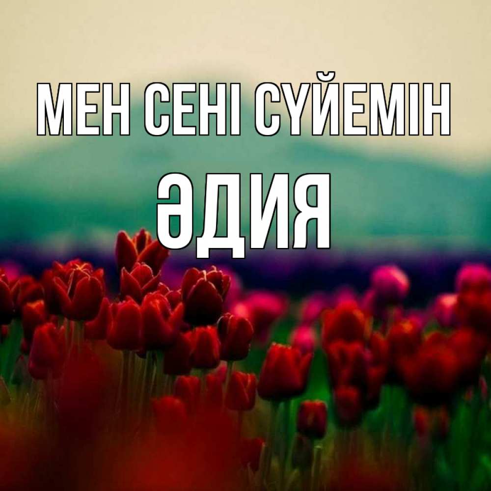 Күн сайын ашық хат с именем, ӘДИЯ Мен сені сүйемін тюльпаны 4 Онлайн тегін жүктеп алу тілектері бар керемет карта 