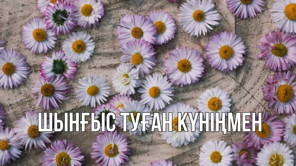 Картинка  с именем , ШЫНҒЫС! ТУҒАН КҮНІҢМЕН!