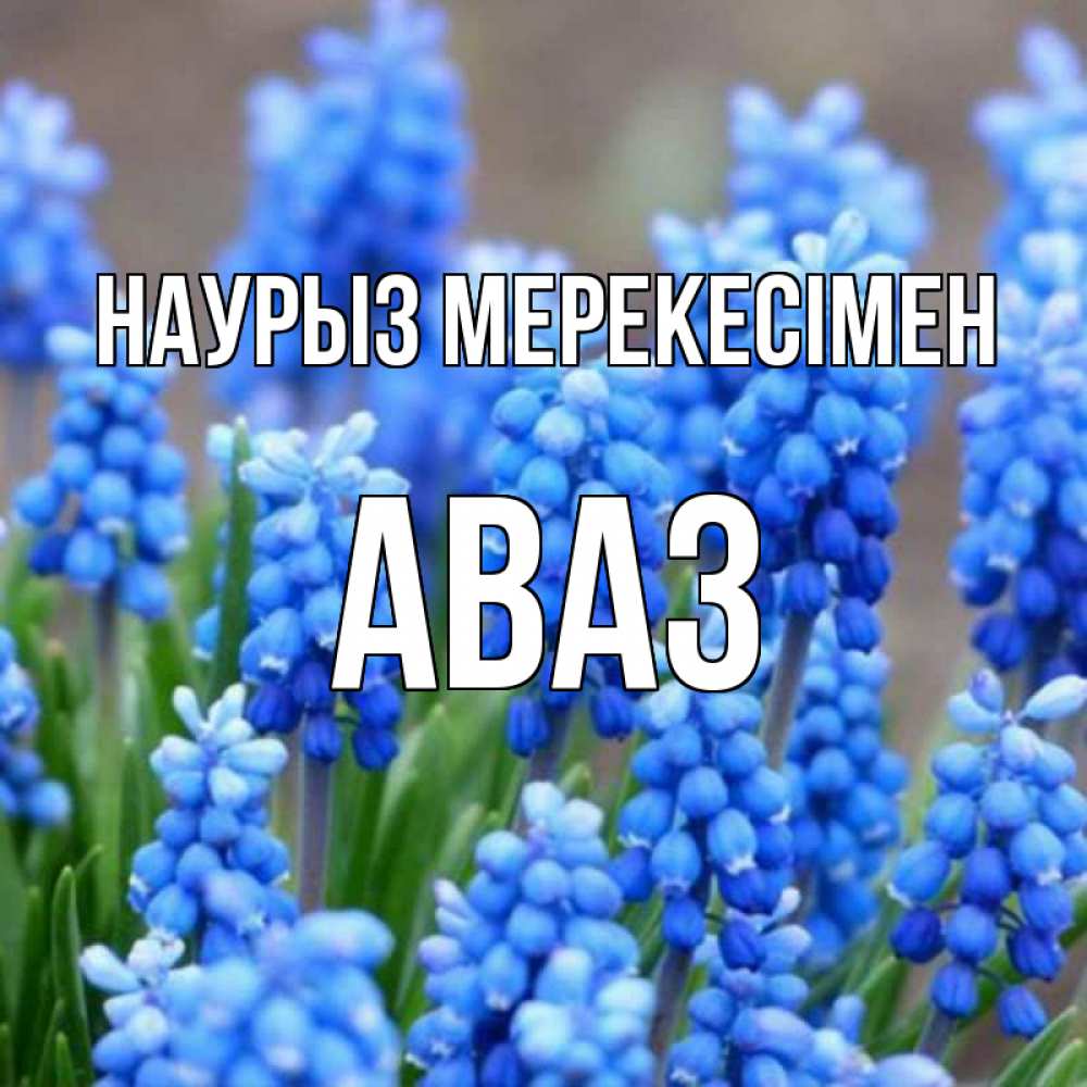 Күн сайын ашық хат с именем, Аваз Наурыз мерекесімен Поздравительная открытка для женщин с цветами на праздничную дату Онлайн тегін жүктеп алу тілектері бар керемет карта 
