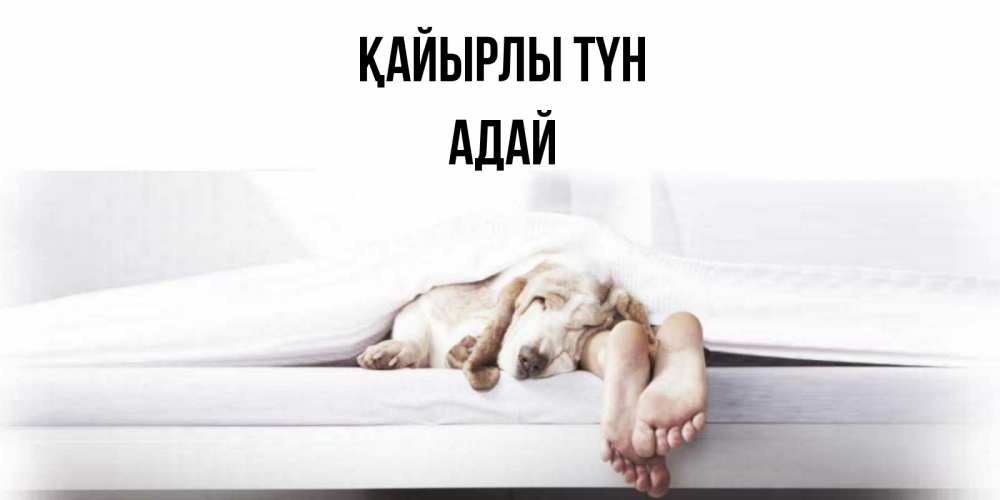 Күн сайын ашық хат с именем, Адай Қайырлы түн кровать с собакой пожелание сладких снов и спокойной ночи Онлайн тегін жүктеп алу тілектері бар керемет карта 