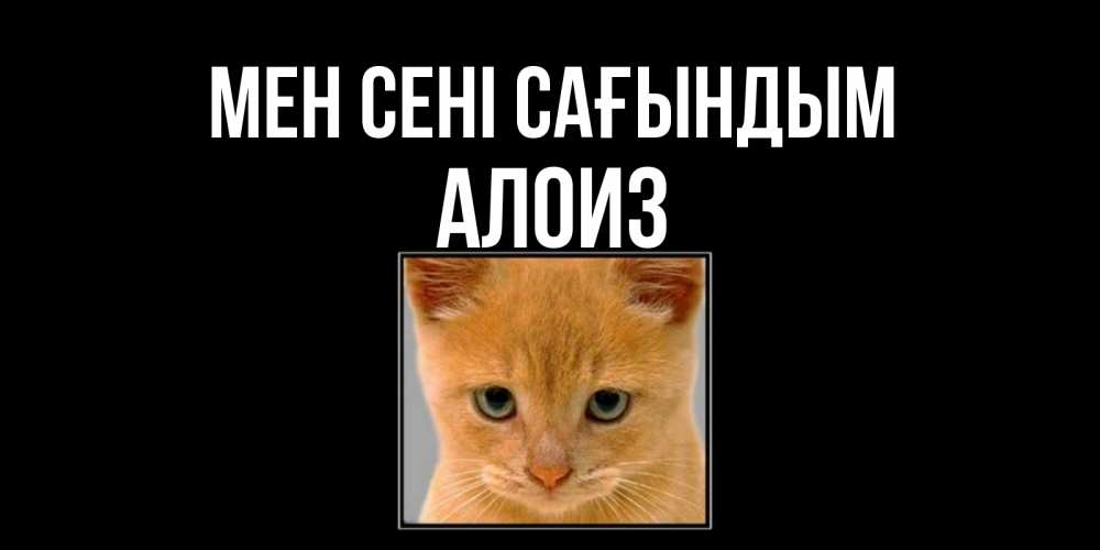Күн сайын ашық хат с именем, Алоиз Мен сені сағындым открытки рыжий котенок скучает по тебе Онлайн тегін жүктеп алу тілектері бар керемет карта 
