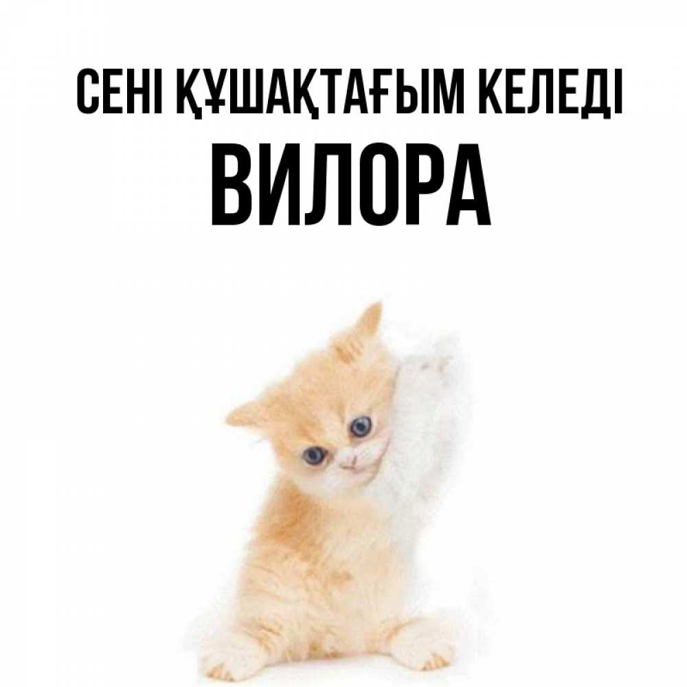 Күн сайын ашық хат с именем, Вилора сені құшақтағым келеді я хочу очень скорее обнимаешек Онлайн тегін жүктеп алу тілектері бар керемет карта 