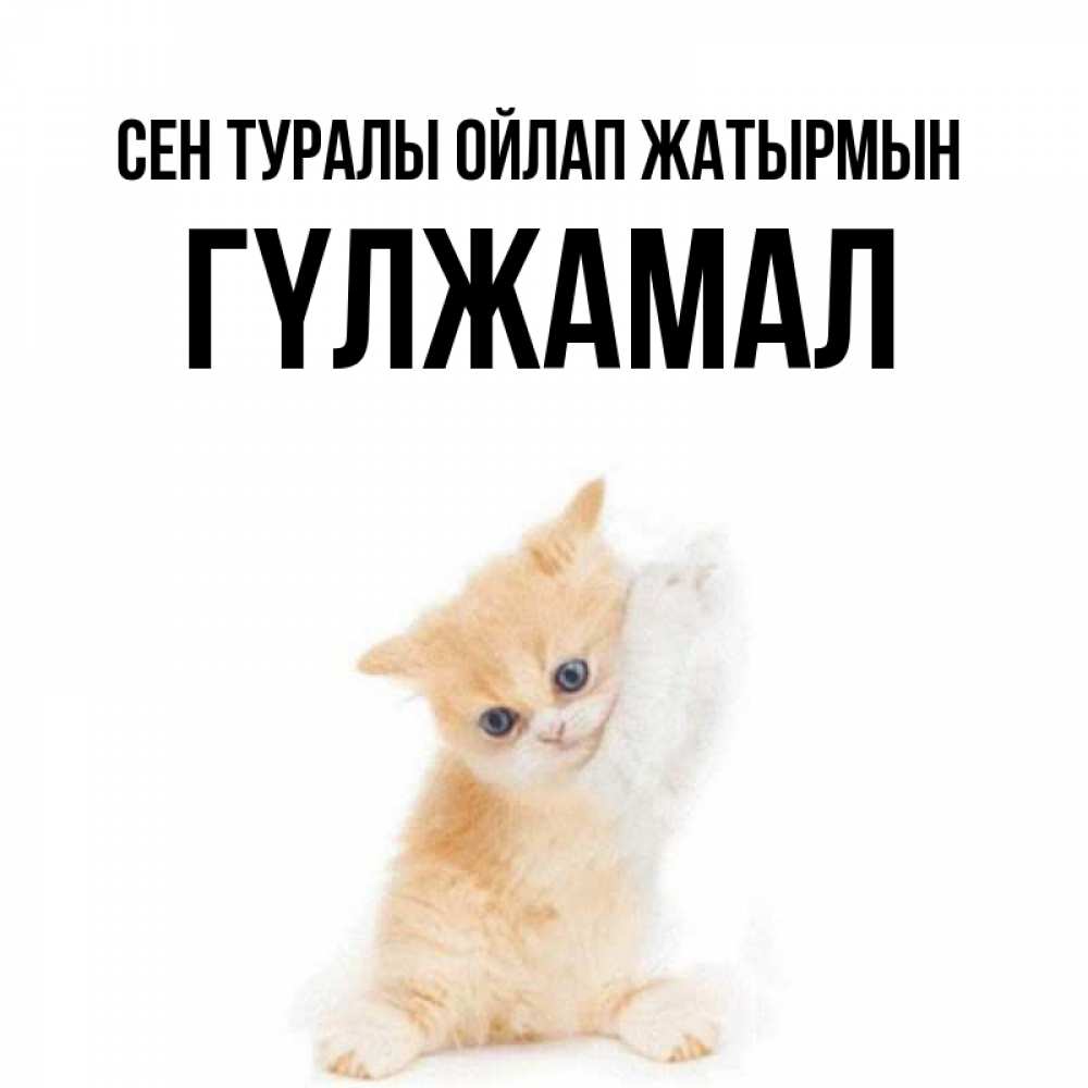 Күн сайын ашық хат с именем, ГҮЛЖАМАЛ Сен туралы ойлап жатырмын зверушки и милота Онлайн тегін жүктеп алу тілектері бар керемет карта 