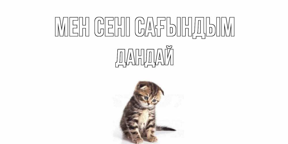 Күн сайын ашық хат с именем, Дандай Мен сені сағындым кот Онлайн тегін жүктеп алу тілектері бар керемет карта 