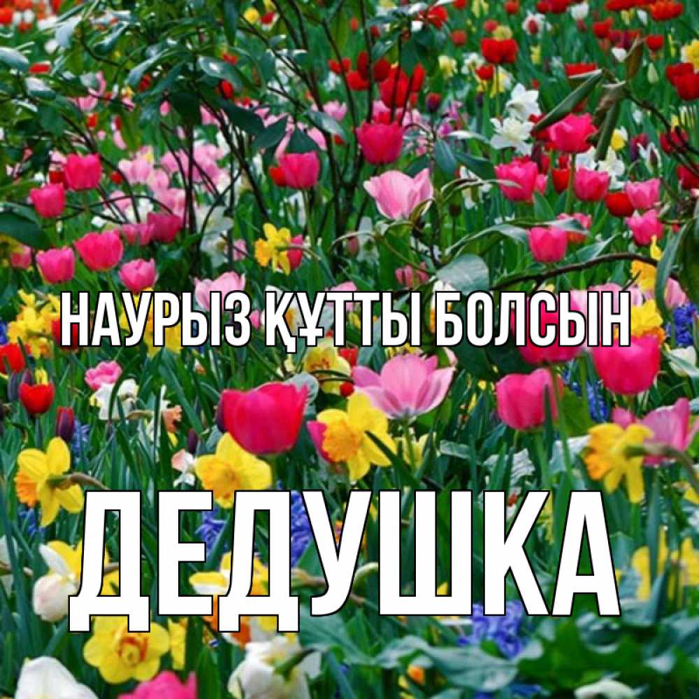 Күн сайын ашық хат с именем, Дедушка Наурыз құтты болсын с наурызом поздравления для женщины Онлайн тегін жүктеп алу тілектері бар керемет карта 