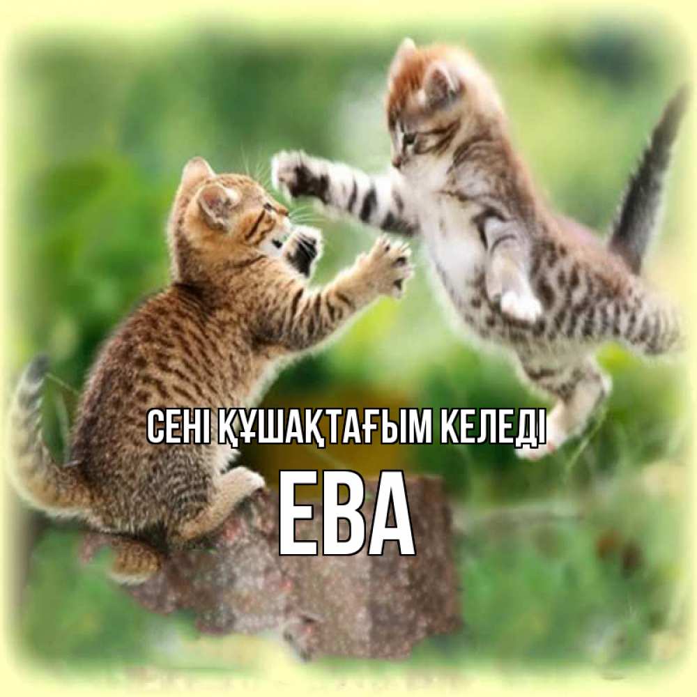 Күн сайын ашық хат с именем, Ева сені құшақтағым келеді игры котят Онлайн тегін жүктеп алу тілектері бар керемет карта 