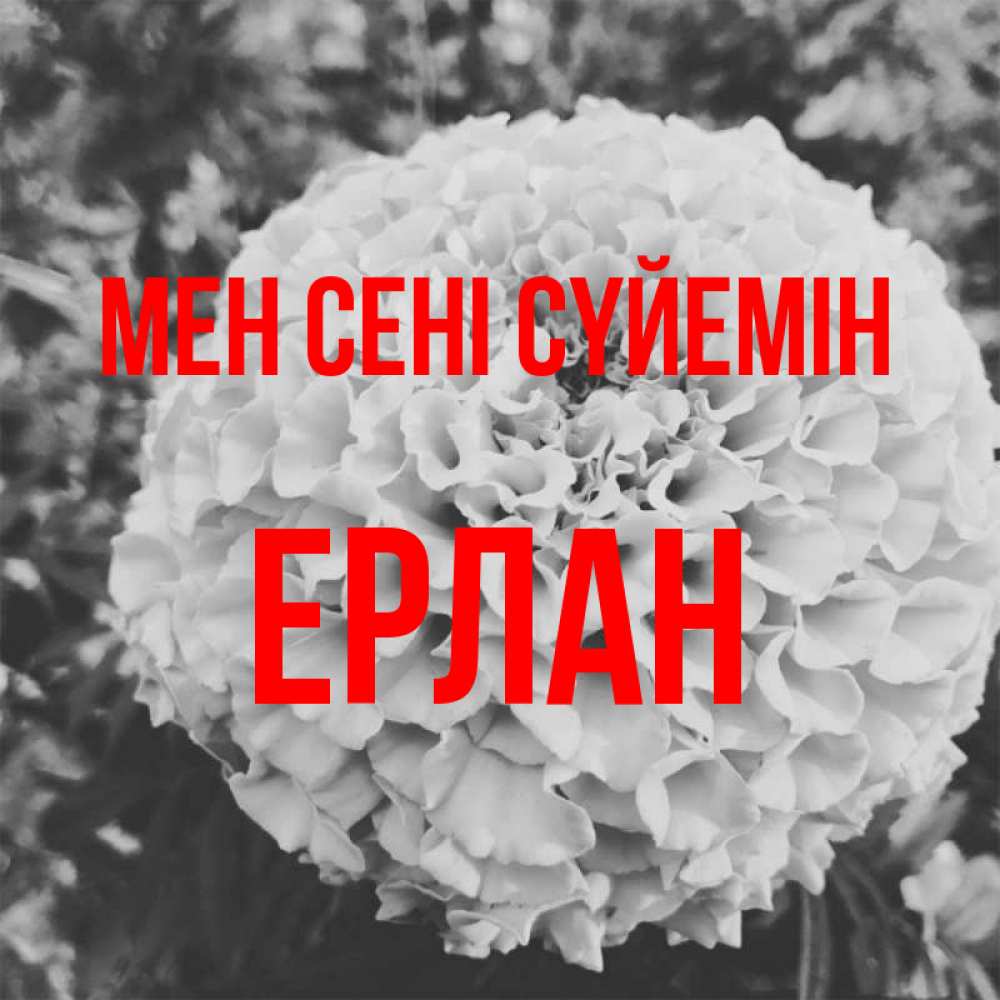 Күн сайын ашық хат с именем, Ерлан Мен сені сүйемін подпись Онлайн тегін жүктеп алу тілектері бар керемет карта 