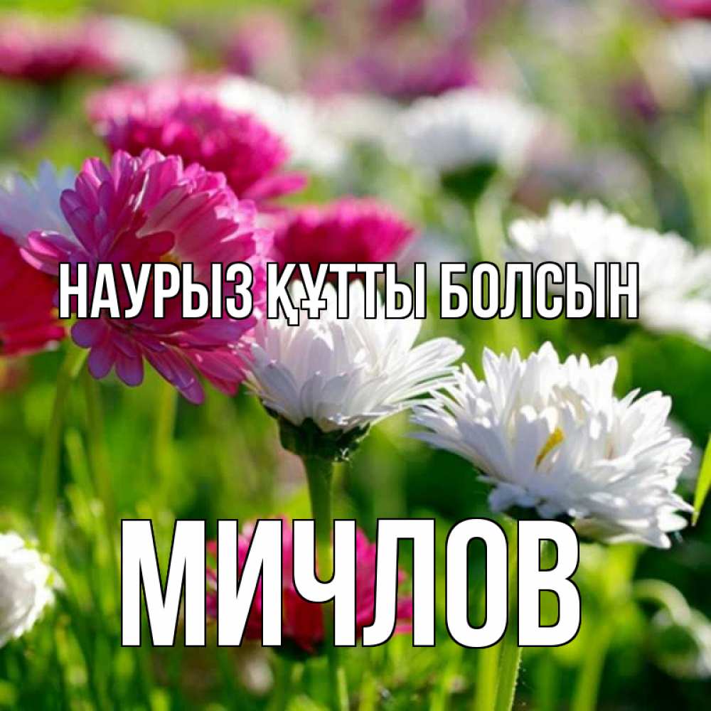 Күн сайын ашық хат с именем, Мичлов Наурыз құтты болсын наурыз Онлайн тегін жүктеп алу тілектері бар керемет карта 