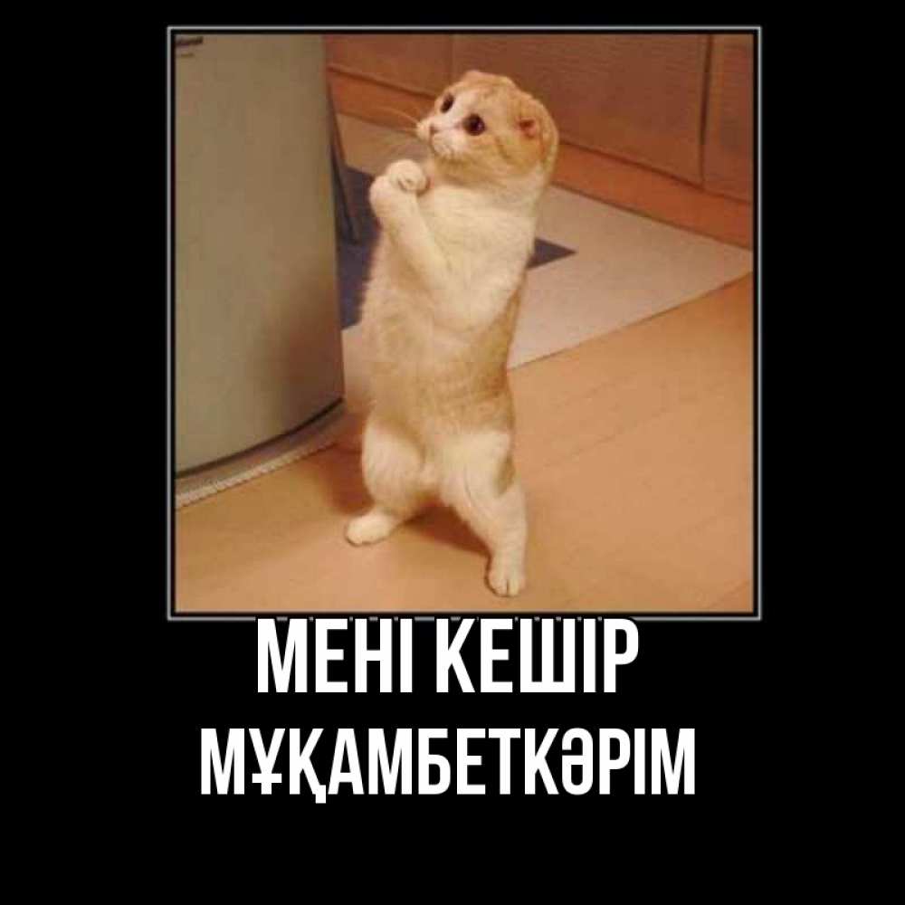 Күн сайын ашық хат с именем, Мұқамбеткәрім Мені кешір открытка с милым несчастным котиком просящим прощения Онлайн тегін жүктеп алу тілектері бар керемет карта 