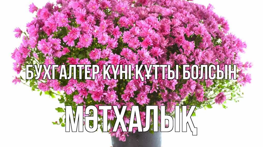 Күн сайын ашық хат с именем, МӘТХАЛЫҚ бухгалтер күні құтты болсын с днем бухгалтера Онлайн тегін жүктеп алу тілектері бар керемет карта 