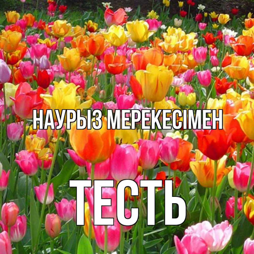 Күн сайын ашық хат с именем, Тесть Наурыз мерекесімен праздник весны наурыз 4 Онлайн тегін жүктеп алу тілектері бар керемет карта 