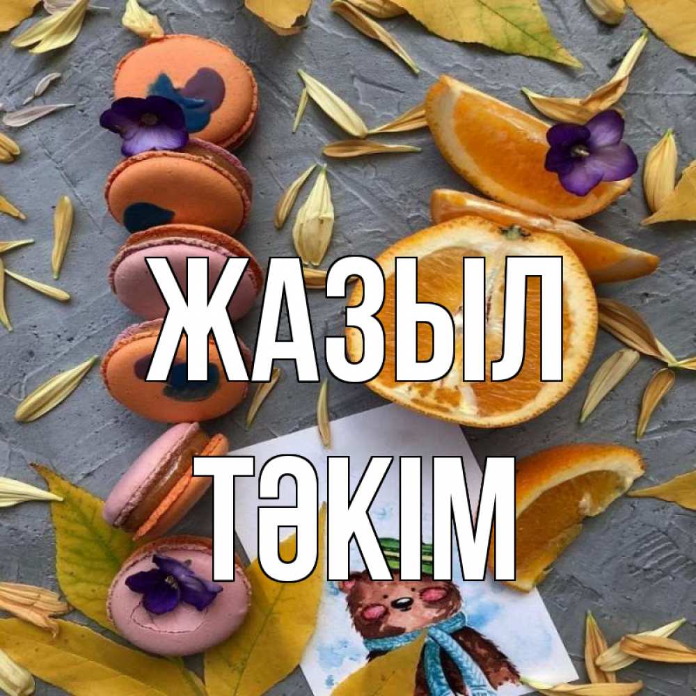 Күн сайын ашық хат с именем, ТӘКІМ Жазыл не болейте Онлайн тегін жүктеп алу тілектері бар керемет карта 