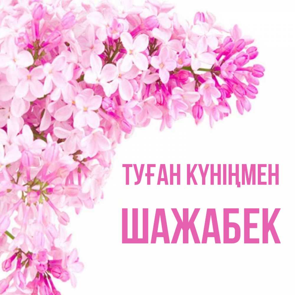 Күн сайын ашық хат с именем, ШАЖАБЕК Туған күніңмен Сирень на белом фоне Онлайн тегін жүктеп алу тілектері бар керемет карта 