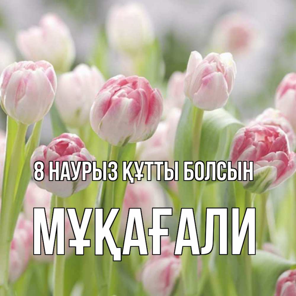 Күн сайын ашық хат с именем, МҰҚАҒАЛИ 8 наурыз құтты болсын цветы Онлайн тегін жүктеп алу тілектері бар керемет карта 