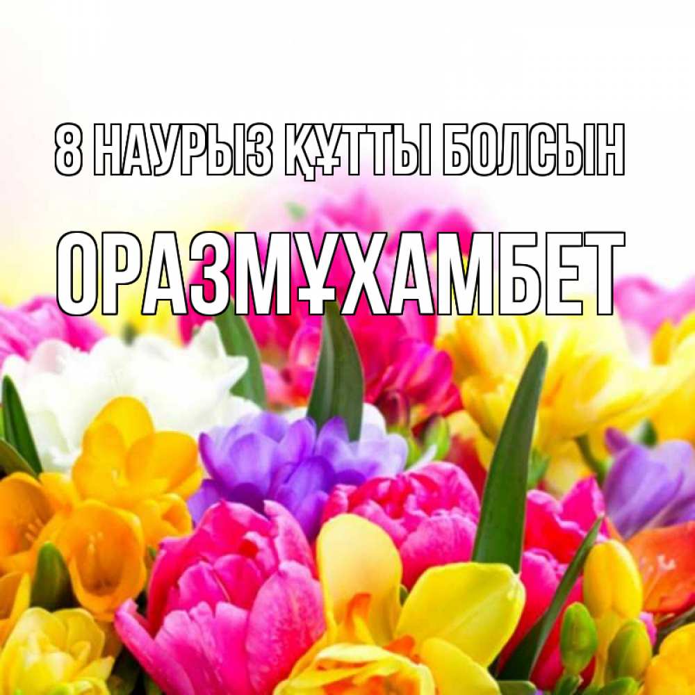 Күн сайын ашық хат с именем, ОРАЗМҰХАМБЕТ 8 наурыз құтты болсын тюльпаны Онлайн тегін жүктеп алу тілектері бар керемет карта 