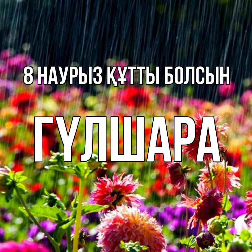 Күн сайын ашық хат с именем, ГҮЛШАРА 8 наурыз құтты болсын цветы под дождиком к международному женскому дню Онлайн тегін жүктеп алу тілектері бар керемет карта 