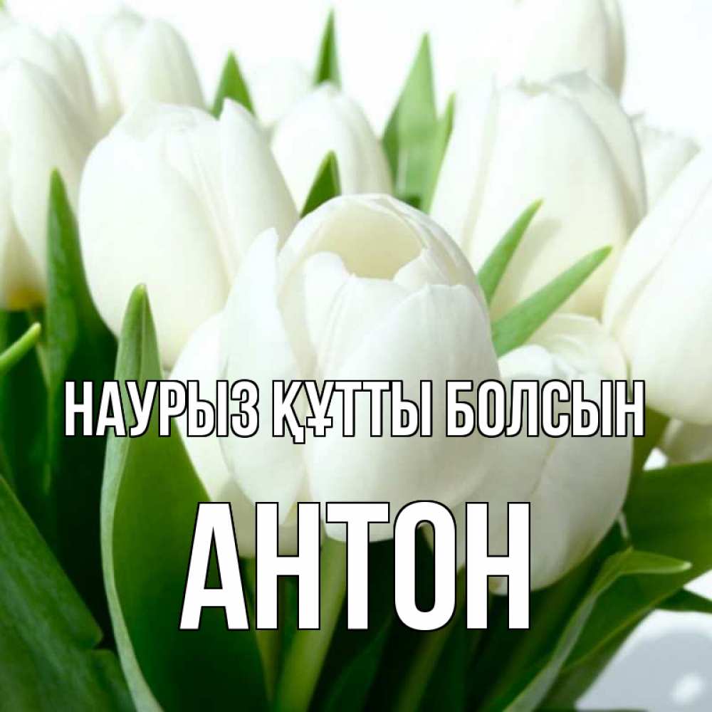 Күн сайын ашық хат с именем, Антон Наурыз құтты болсын цветы Онлайн тегін жүктеп алу тілектері бар керемет карта 