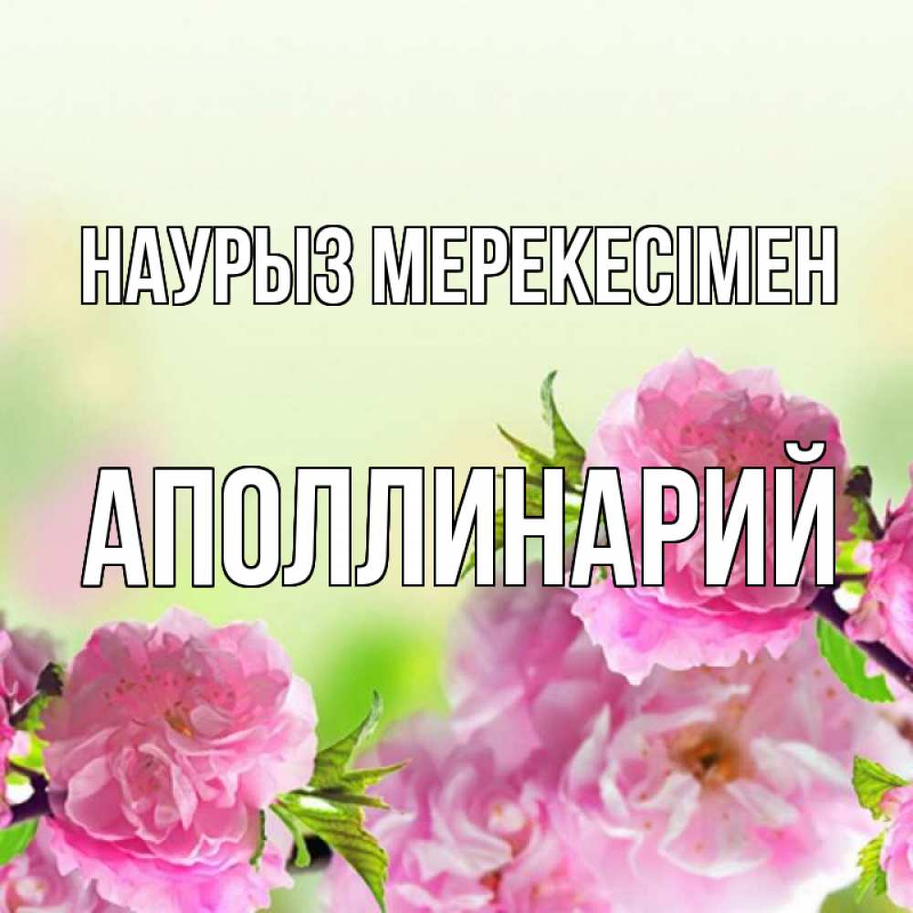 Күн сайын ашық хат с именем, Аполлинарий Наурыз мерекесімен цветы Онлайн тегін жүктеп алу тілектері бар керемет карта 