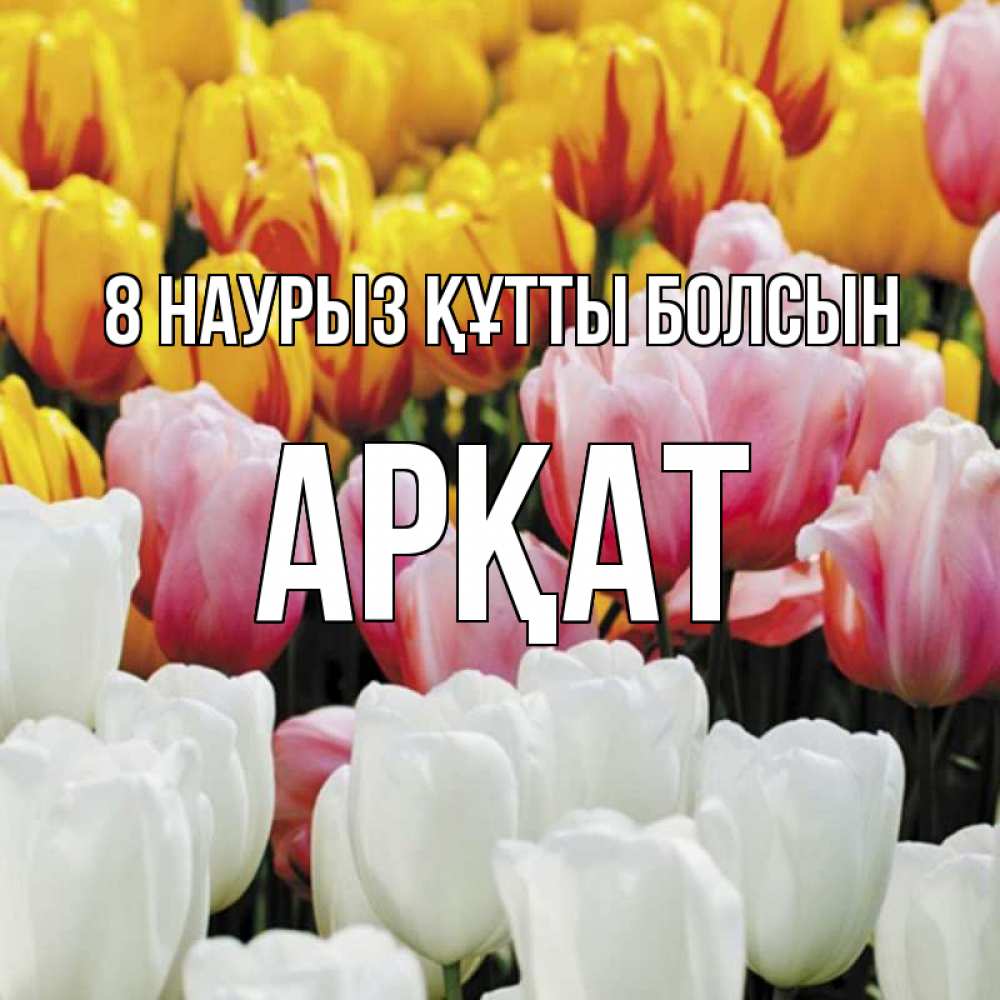 Күн сайын ашық хат с именем, Арқат 8 наурыз құтты болсын разноцветные цветы Онлайн тегін жүктеп алу тілектері бар керемет карта 