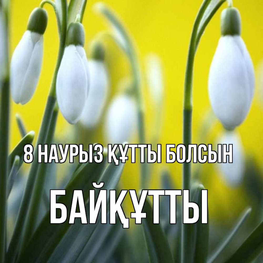 Күн сайын ашық хат с именем, Байқұтты 8 наурыз құтты болсын весенние цветы Онлайн тегін жүктеп алу тілектері бар керемет карта 