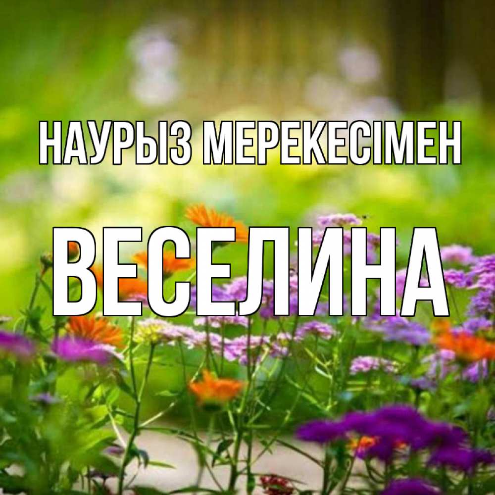 Күн сайын ашық хат с именем, Веселина Наурыз мерекесімен цветы Онлайн тегін жүктеп алу тілектері бар керемет карта 