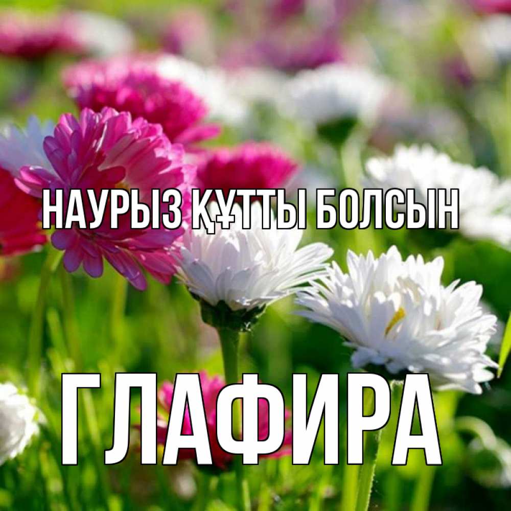 Күн сайын ашық хат с именем, Глафира Наурыз құтты болсын наурыз Онлайн тегін жүктеп алу тілектері бар керемет карта 