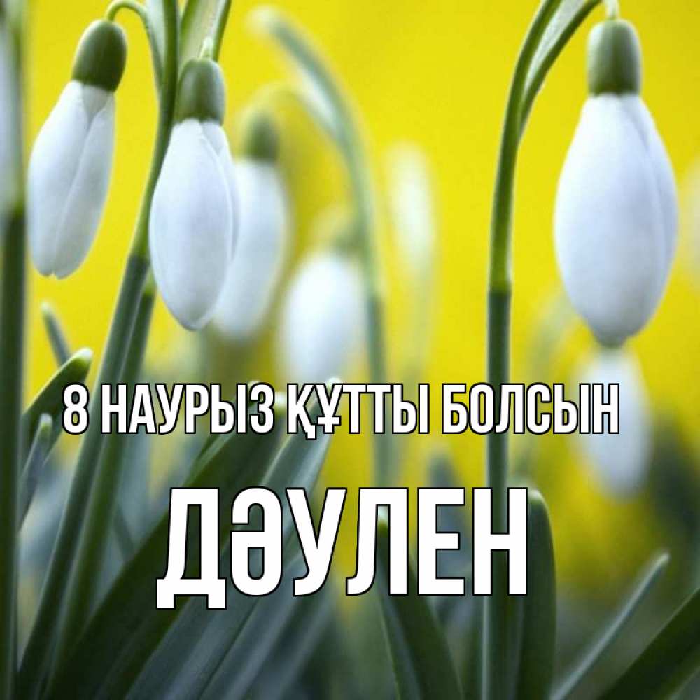 Күн сайын ашық хат с именем, Дәулен 8 наурыз құтты болсын весенние цветы Онлайн тегін жүктеп алу тілектері бар керемет карта 