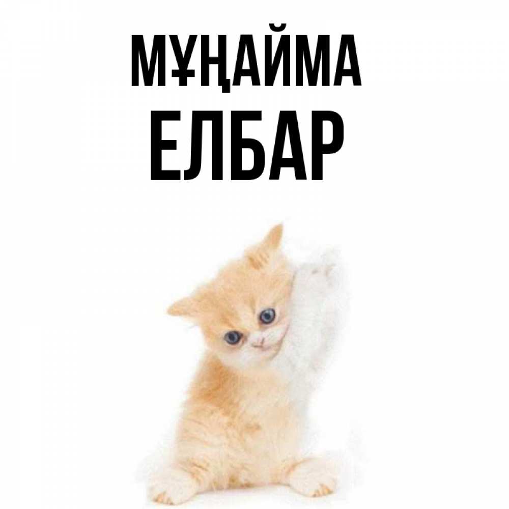 Күн сайын ашық хат с именем, Елбар Мұңайма просящий кот Онлайн тегін жүктеп алу тілектері бар керемет карта 