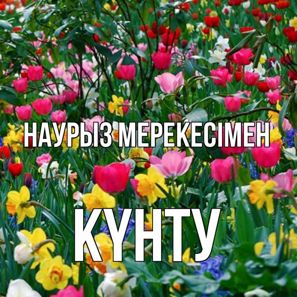 Күн сайын ашық хат с именем, Күнту Наурыз мерекесімен с наурызом праздником весны поздравления для женщины Онлайн тегін жүктеп алу тілектері бар керемет карта 