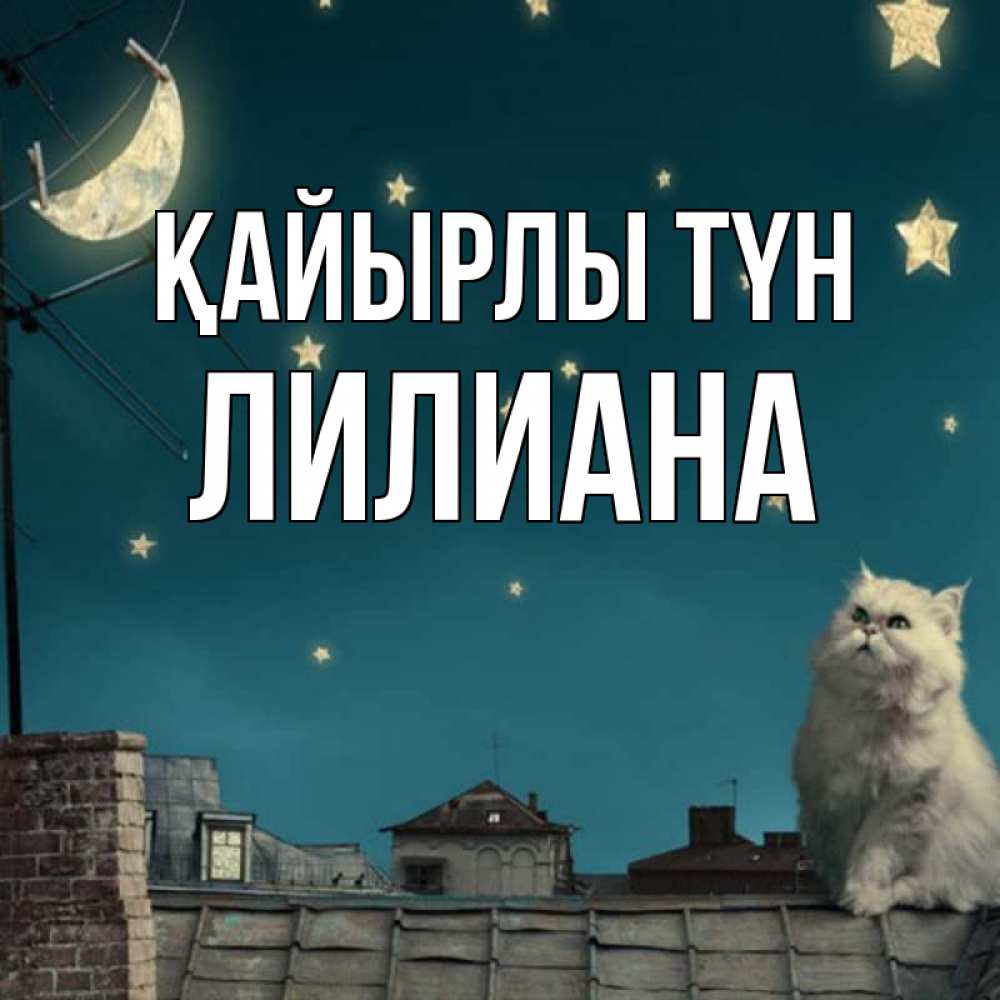 Күн сайын ашық хат с именем, Лилиана Қайырлы түн белый кот сидит на крыше Онлайн тегін жүктеп алу тілектері бар керемет карта 