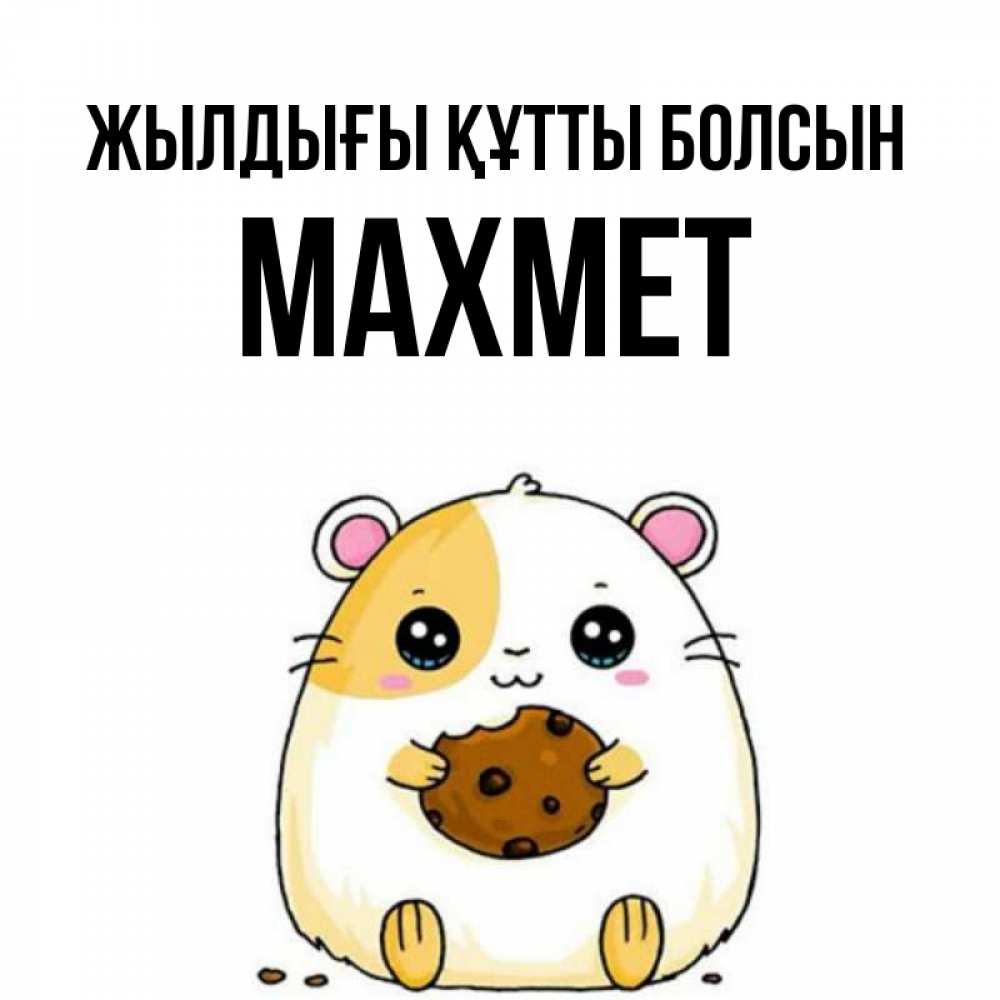 Күн сайын ашық хат с именем, МАХМЕТ Жылдығы құтты болсын с днюхой Онлайн тегін жүктеп алу тілектері бар керемет карта 