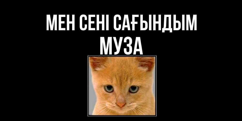 Күн сайын ашық хат с именем, Муза Мен сені сағындым открытки рыжий котенок скучает по тебе Онлайн тегін жүктеп алу тілектері бар керемет карта 