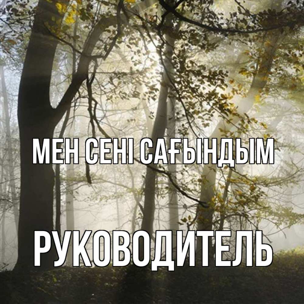 Күн сайын ашық хат с именем, Руководитель Мен сені сағындым грустно Онлайн тегін жүктеп алу тілектері бар керемет карта 