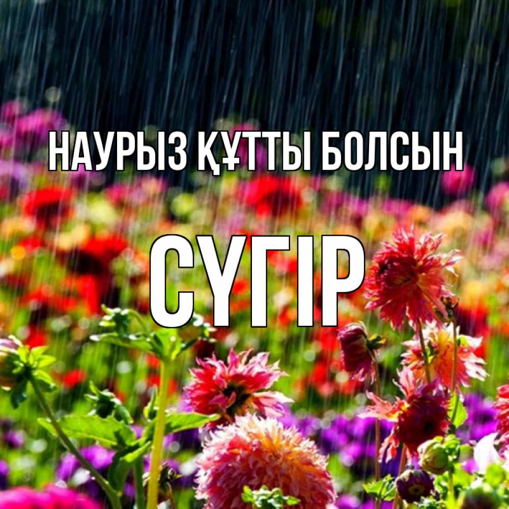 Күн сайын ашық хат с именем, СҮГІР Наурыз құтты болсын цветы под дождиком к наурызу Онлайн тегін жүктеп алу тілектері бар керемет карта 