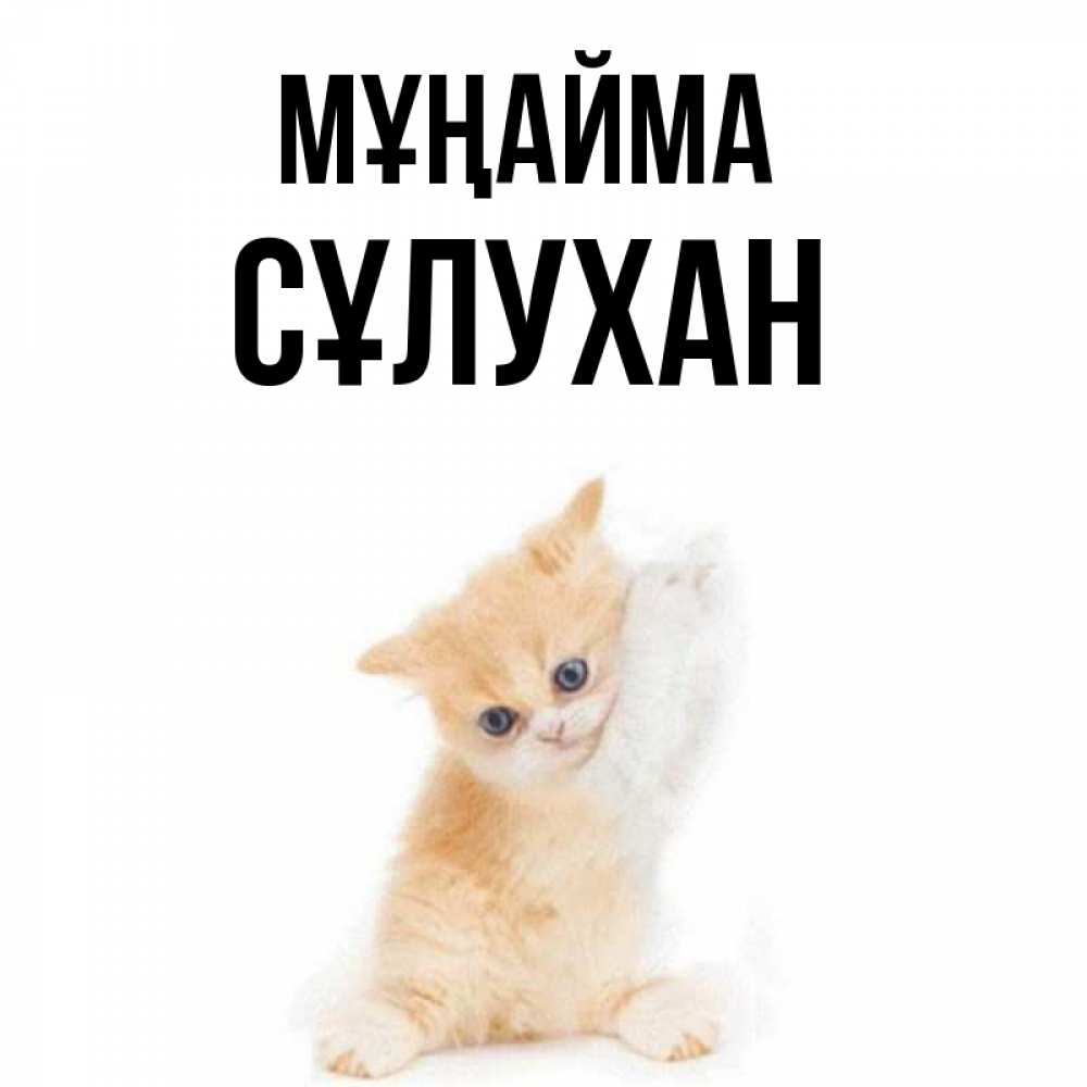 Күн сайын ашық хат с именем, СҰЛУХАН Мұңайма просящий кот Онлайн тегін жүктеп алу тілектері бар керемет карта 