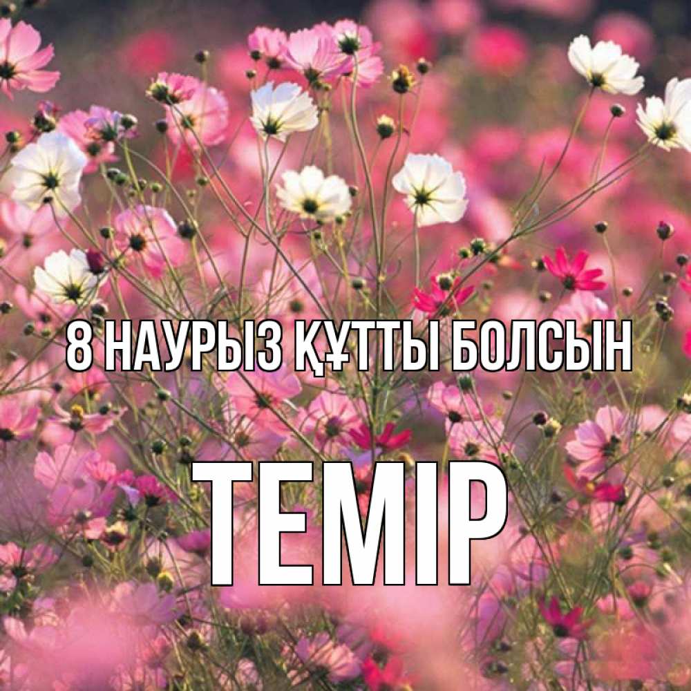 Күн сайын ашық хат с именем, ТЕМІР 8 наурыз құтты болсын красиво 1 Онлайн тегін жүктеп алу тілектері бар керемет карта 
