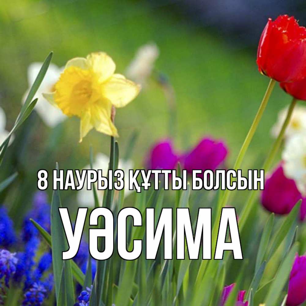 Күн сайын ашық хат с именем, УӘСИМА 8 наурыз құтты болсын международный женский день 3 Онлайн тегін жүктеп алу тілектері бар керемет карта 