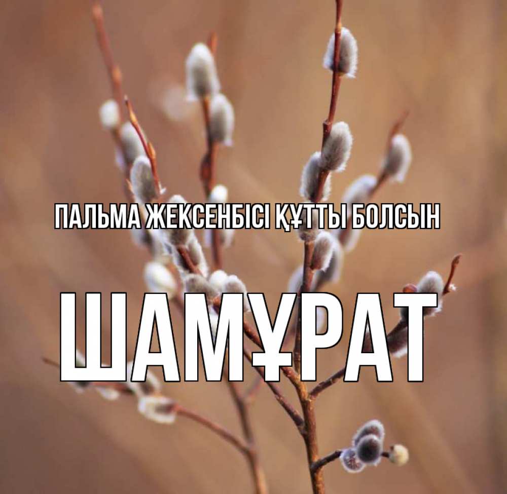 Күн сайын ашық хат с именем, ШАМҰРАТ Пальма жексенбісі құтты болсын верба Онлайн тегін жүктеп алу тілектері бар керемет карта 